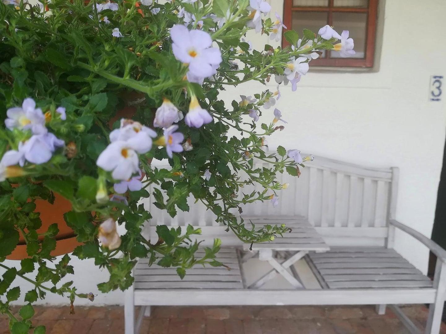 Kaijaiki Country Inn And Restaurant Yzerfontein Habitación foto